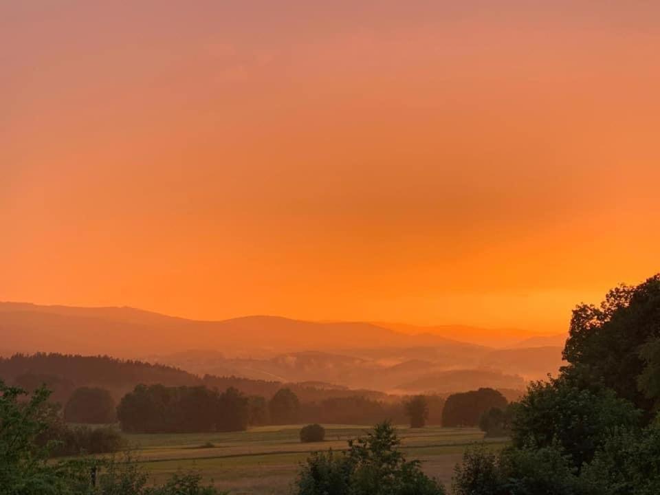 Burggasthof Weissenstein Реген Екстериор снимка